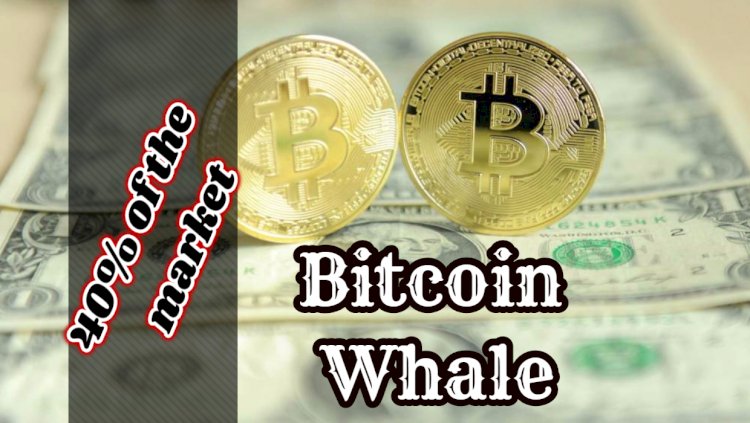 "Bitcoin Whale" world: 2500 accounts control 40% of the market