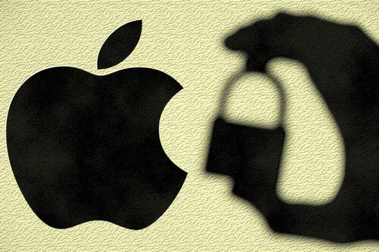 Vulnerabilities on Apple: 380 flaws exploited in 2021