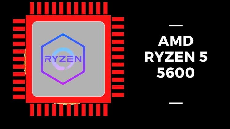 AMD Ryzen 5 5600 Processor Review